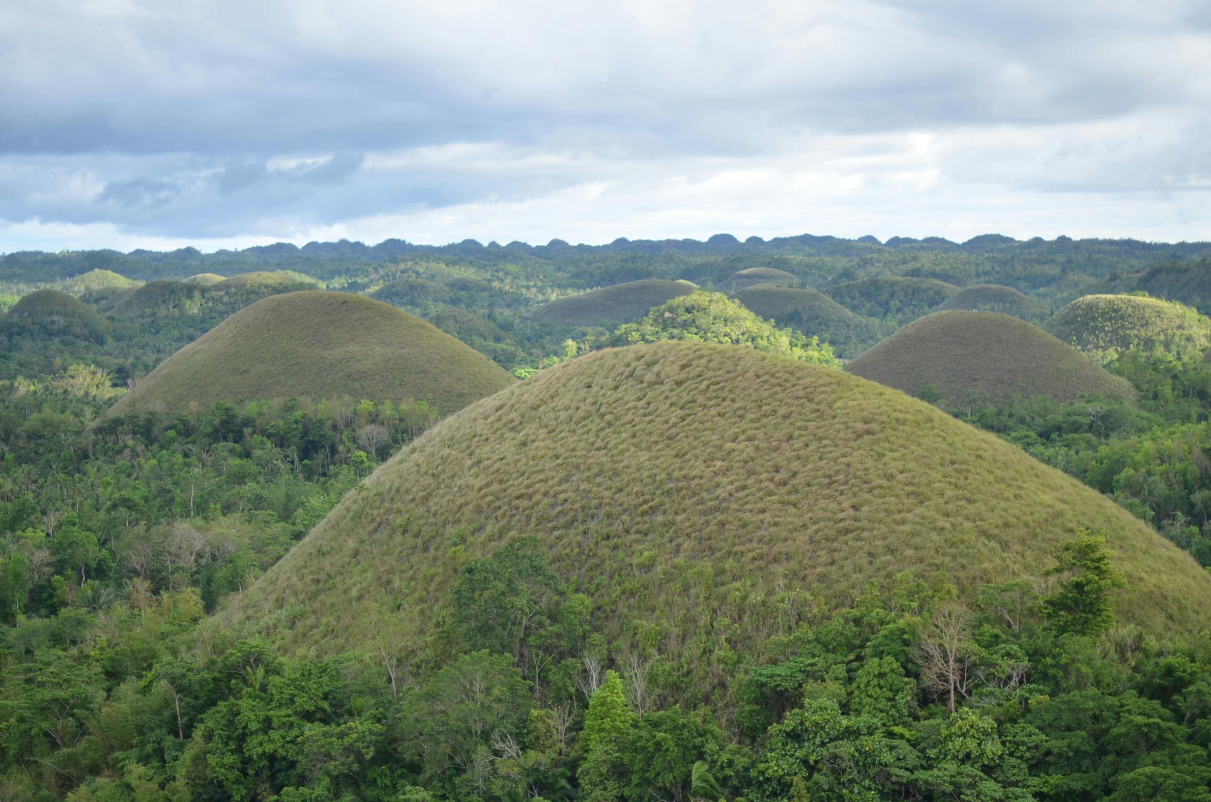 Bohol