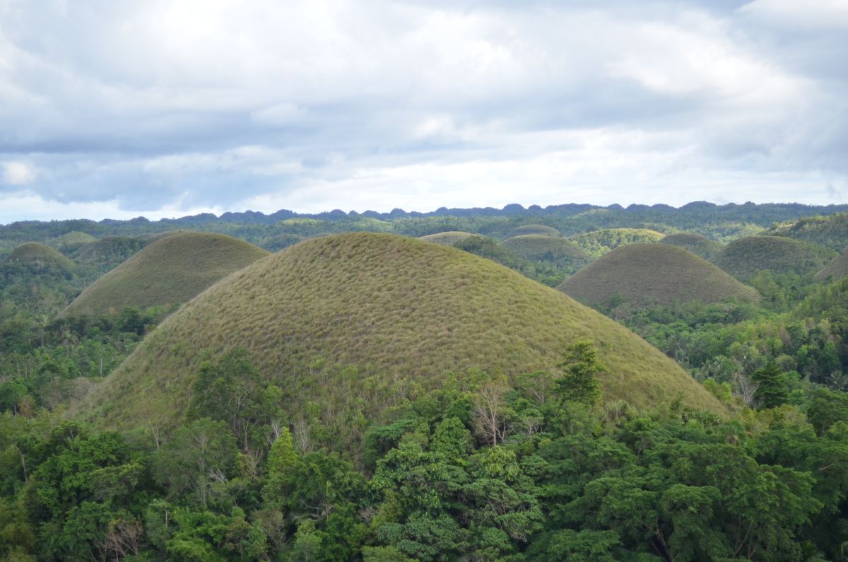 Bohol festival
