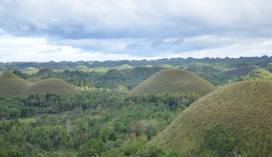 Bohol