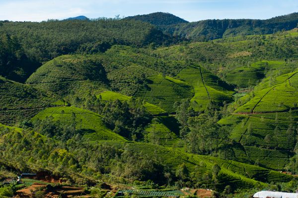 Sri Lanka Serene Trails – Culture, Hills & Beaches - Stays