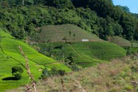 Green Mountain