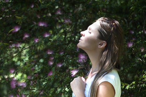 女人閉上眼睛反對陽光站在紫色的花瓣植物附近