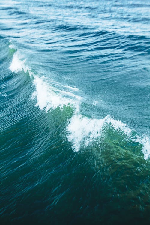 Photograph of a Sea Wave 