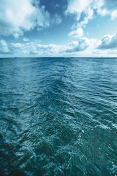 在多云的天空下，蔚蓝的波罗的海呈现出一片宁静的景色，捕捉到了大自然的美丽