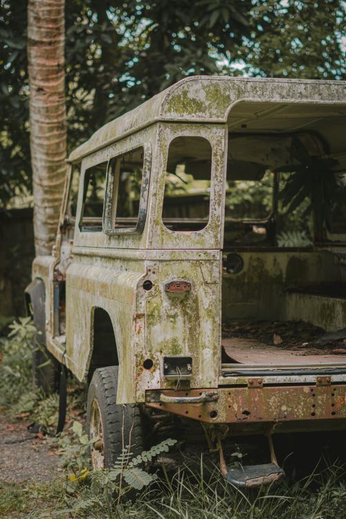 Free Rusty, abandoned vehicle overgrown with moss in a lush forest setting. Stock Photo