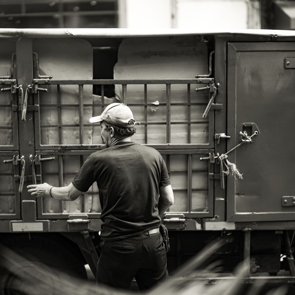 Rigside — professional packers wrapping and boxing belongings