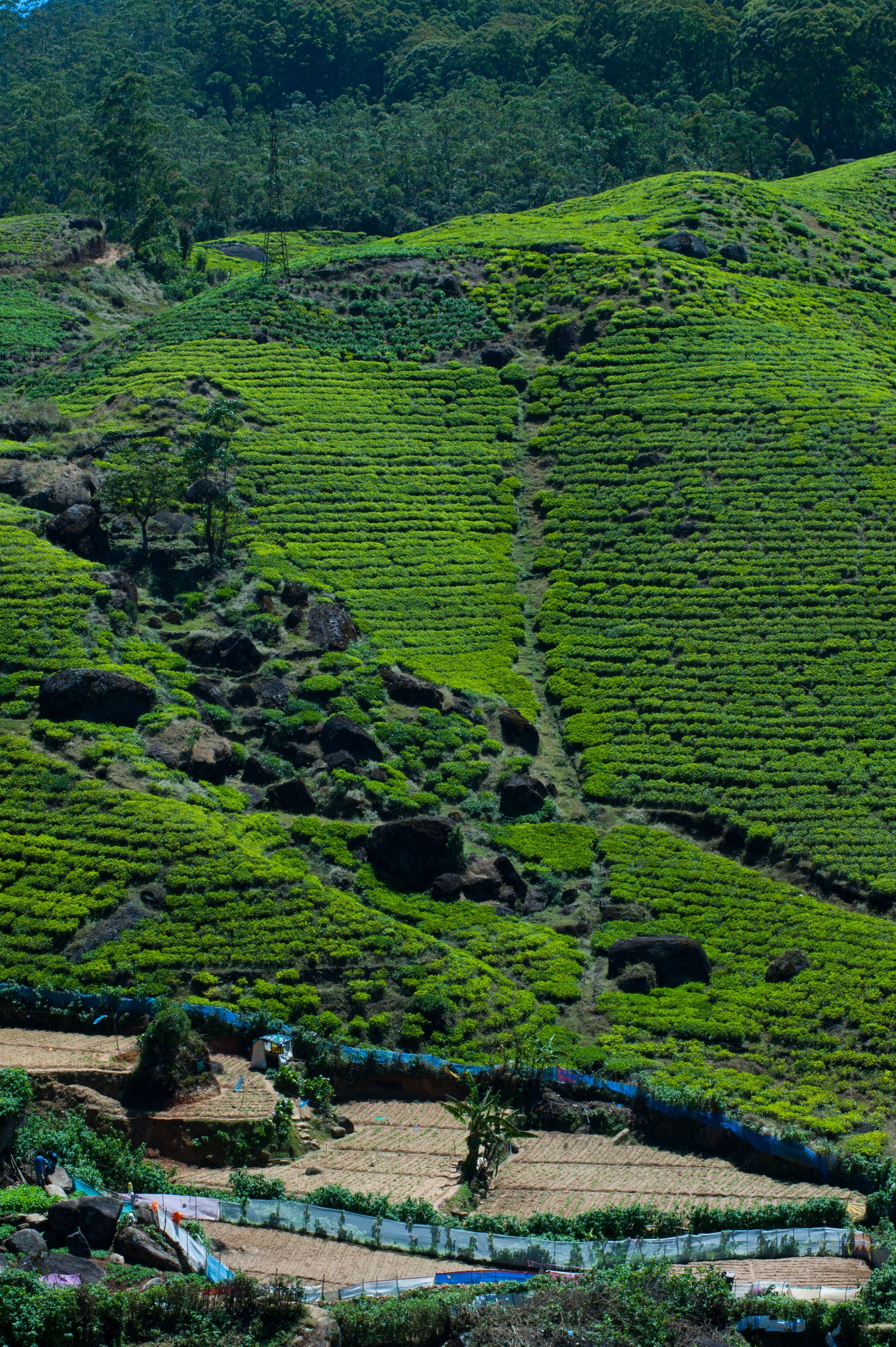 How to Ride the World's Most Beautiful Train