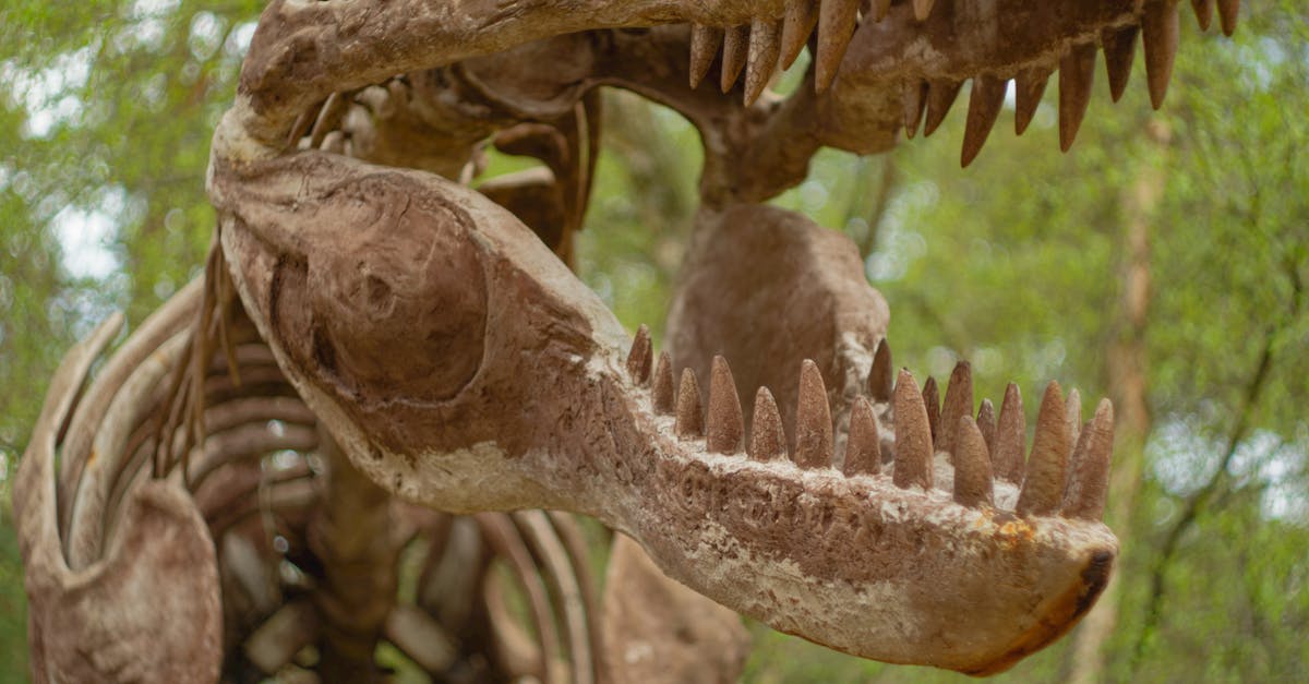 響應2025國際博物館日!科博館及三園區5/18免費入館大放送