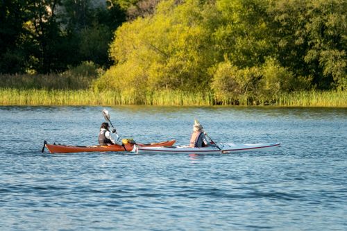 Free Two people kayaking on a calm lake surrounded by greenery in Stockholm, Sweden. Stock Photo
