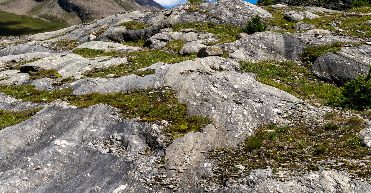 Alpine Scrub And Rocks Stunning Alpine Rocks and Blue Sky Landscape · Free Stock Photo