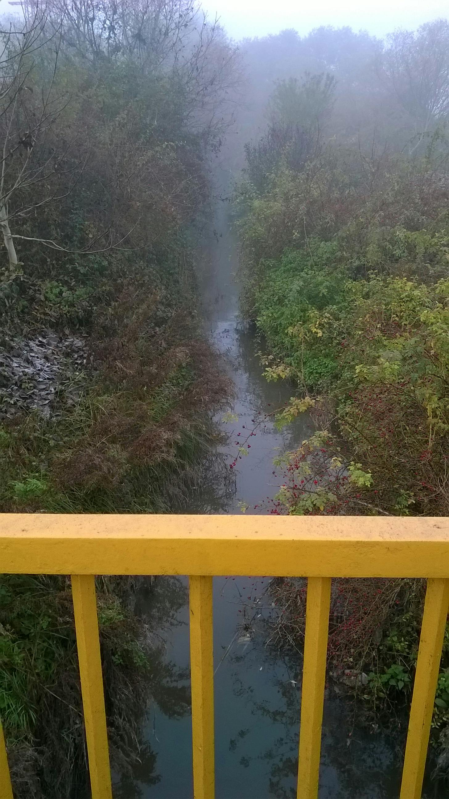 Free stock photo of bridge, dawn, foggy