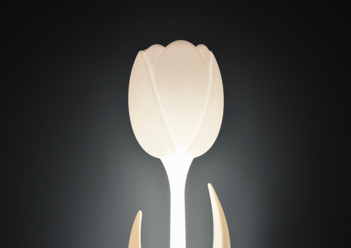 Free Lampe florale Stock Photo
