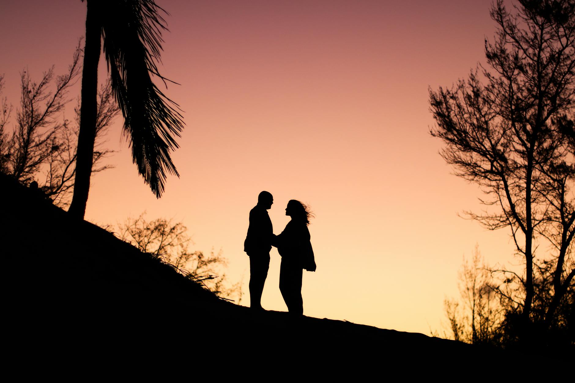 https://www.pexels.com/photo/silhouette-of-expecting-couple-at-sunset-32161034/