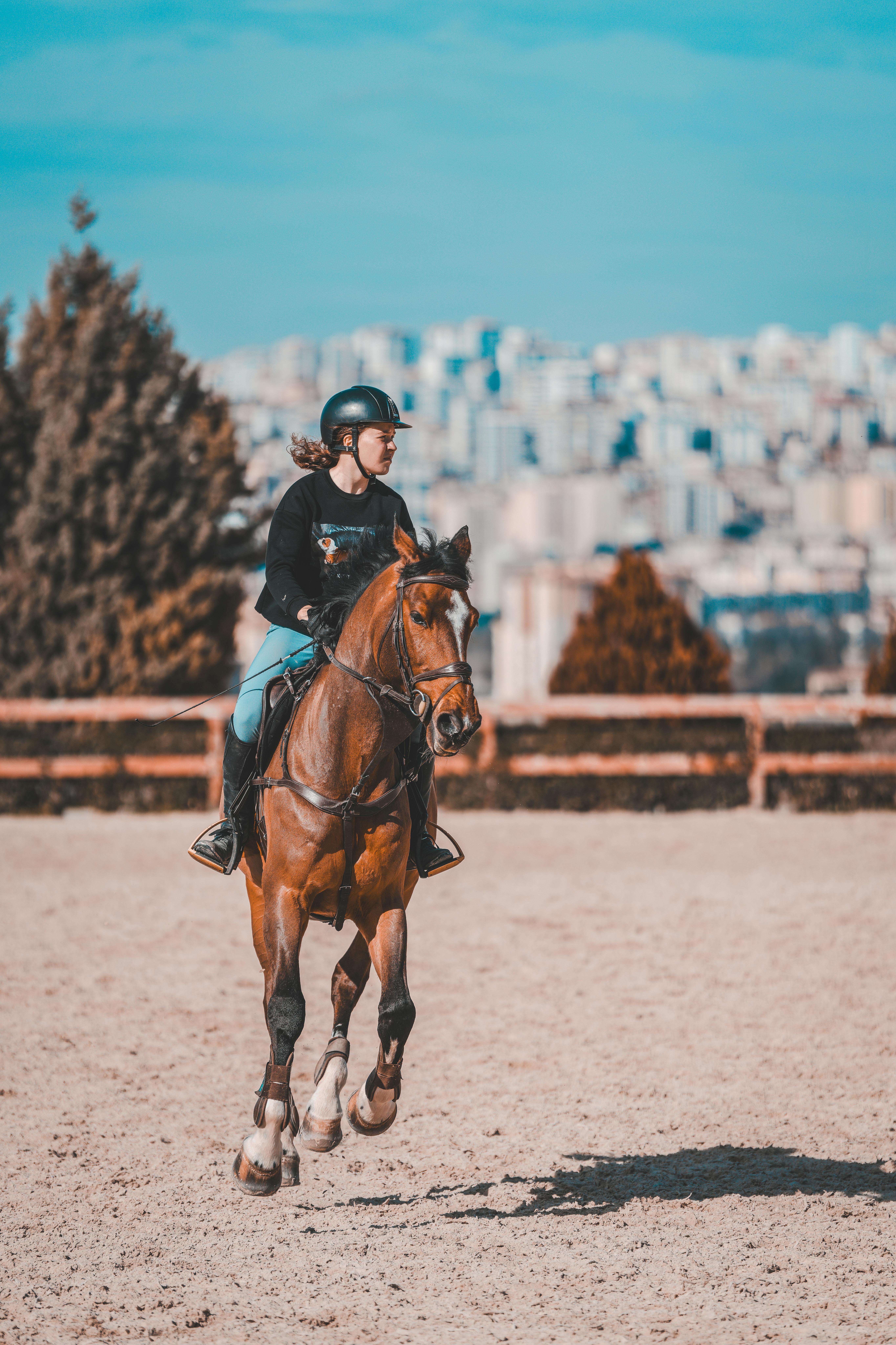 A person riding a chestnut horse in an urban landscape with a cityscape backdrop. Perfect for lifestyle and sports themes.