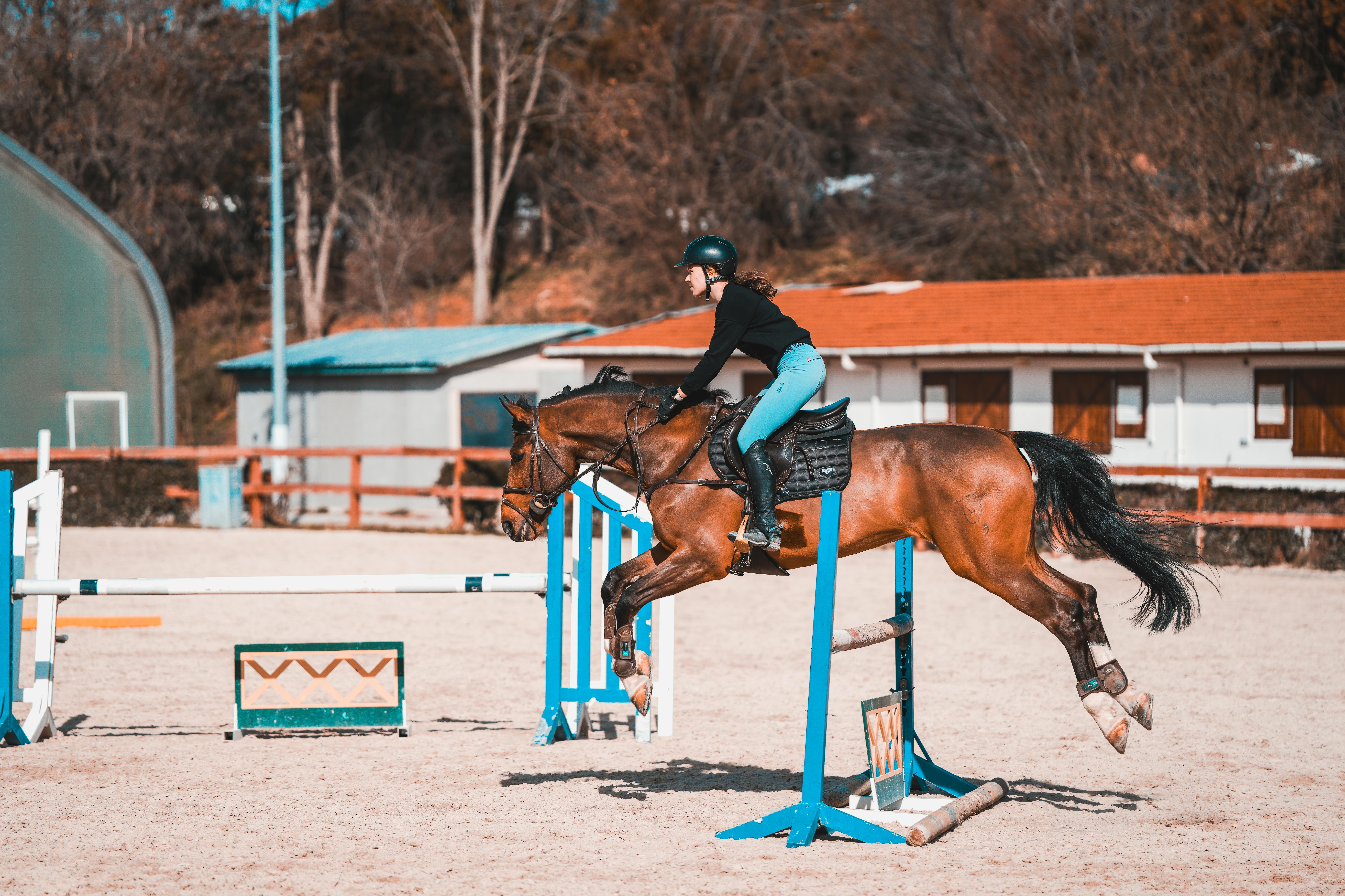 Classical vs. Modern Dressage: What Every Rider Should Know