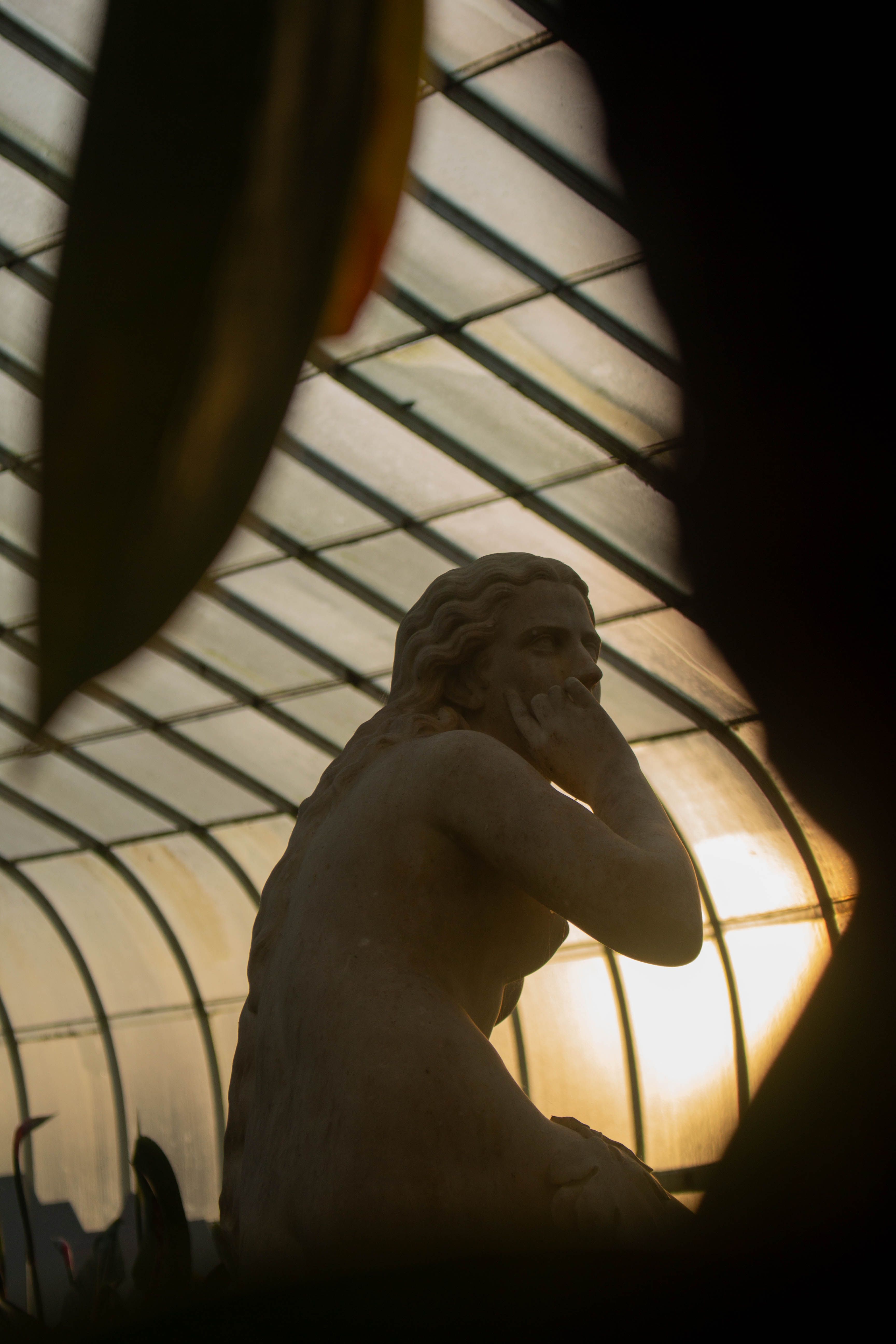 A classical statue in a greenhouse ambiently lit by the sunset.