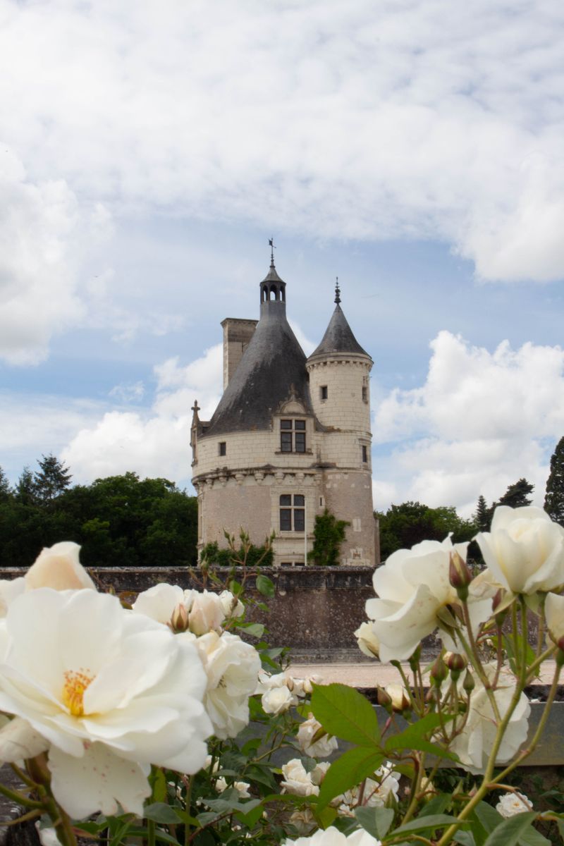 Loire Valley — Châteaux, Wine, Cycling