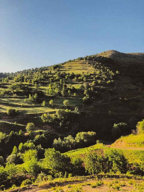 Free Vibrant green terraced hillside landscape with clear blue sky, capturing the essence of nature. Stock Photo