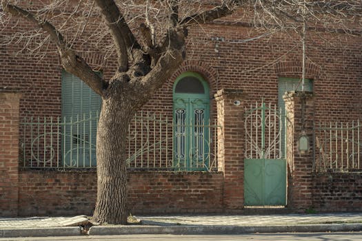 Rustic brick facade with a turquoise door and tree in Oliva, Córdoba, Argentina.