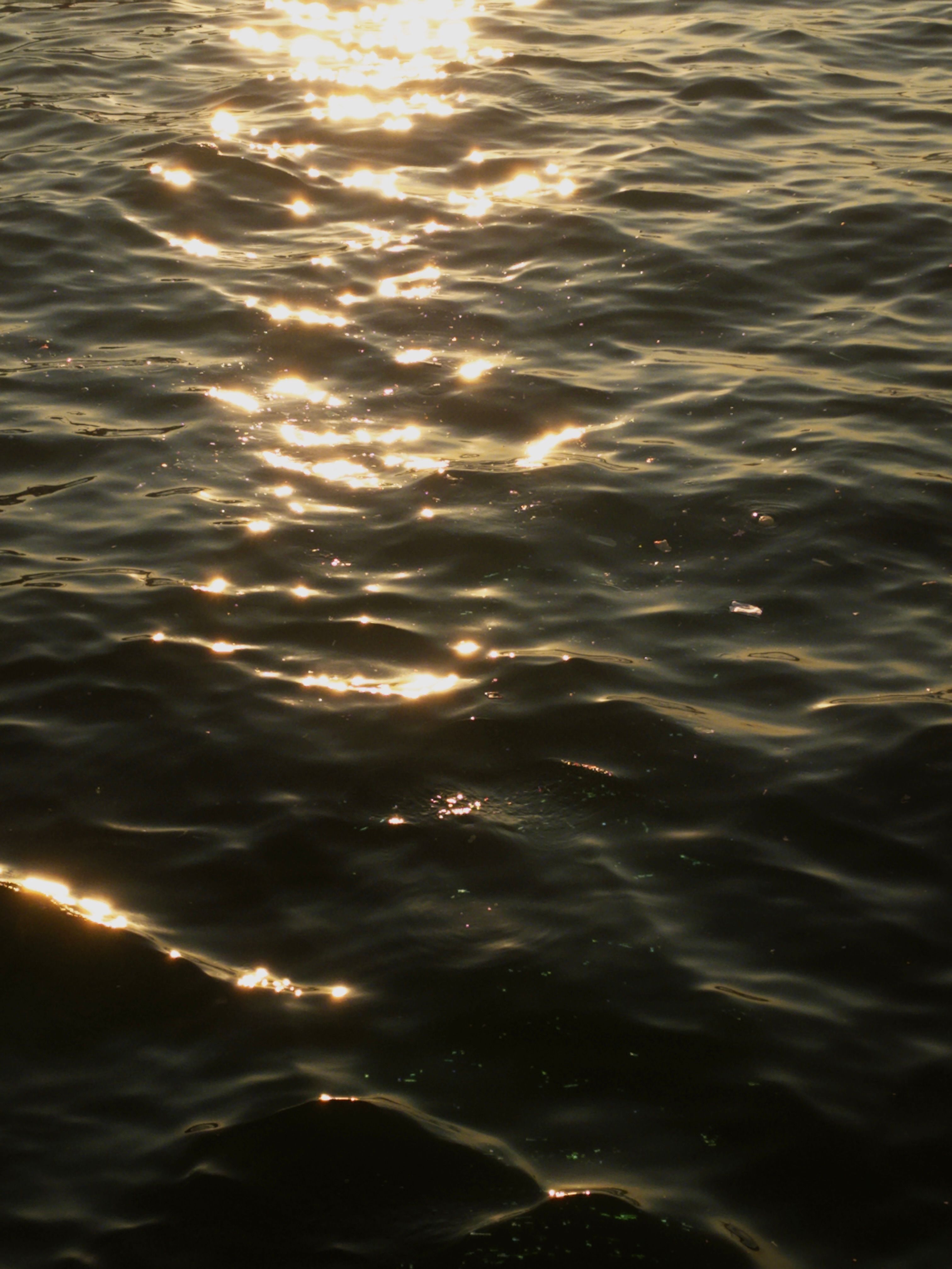 Golden Sunlight Reflecting on Rippling Water · Free Stock Photo