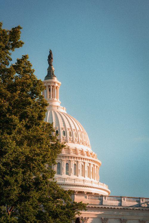 Free The US Capitol building dome in Washington DC with a clear blue sky and trees. Stock Photo