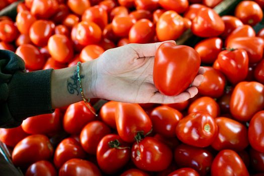Hand holding a unique heart-shaped tomato among a pile of fresh produce.