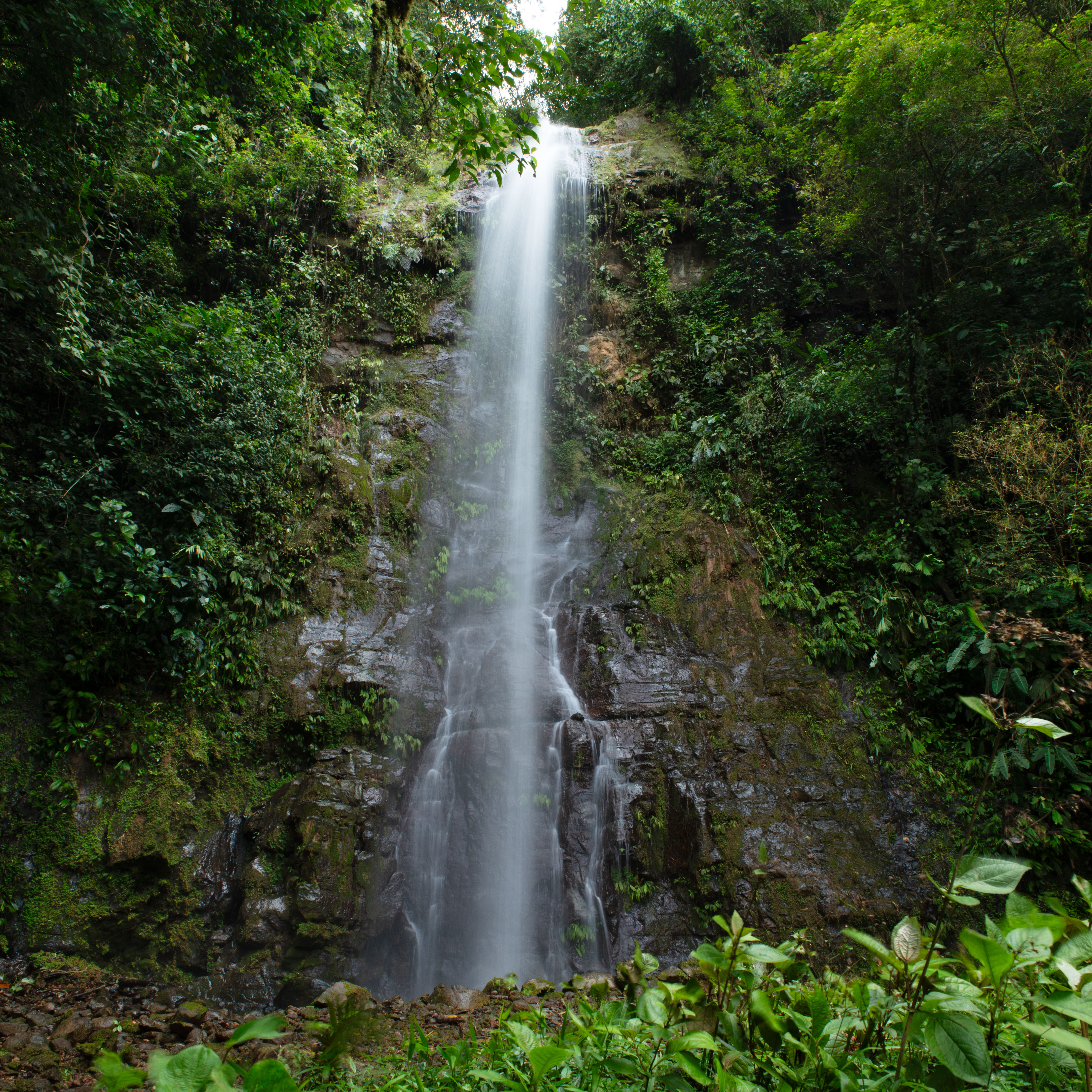 Captivating jungle waterfall with lush greenery in Costa Rica, ideal nature landscape.