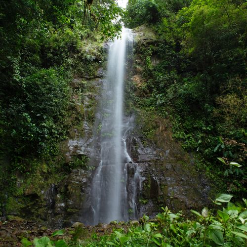 Free Captivating jungle waterfall with lush greenery in Costa Rica, ideal nature landscape. Stock Photo