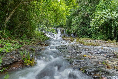 Free Lush waterfall flowing through vibrant Costa Rican rainforest, capturing natural beauty and tranquility. Stock Photo
