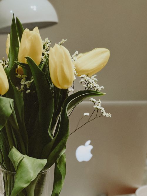 Free Vase of yellow tulips on desk with laptop, creating a vibrant workspace aesthetic. Stock Photo