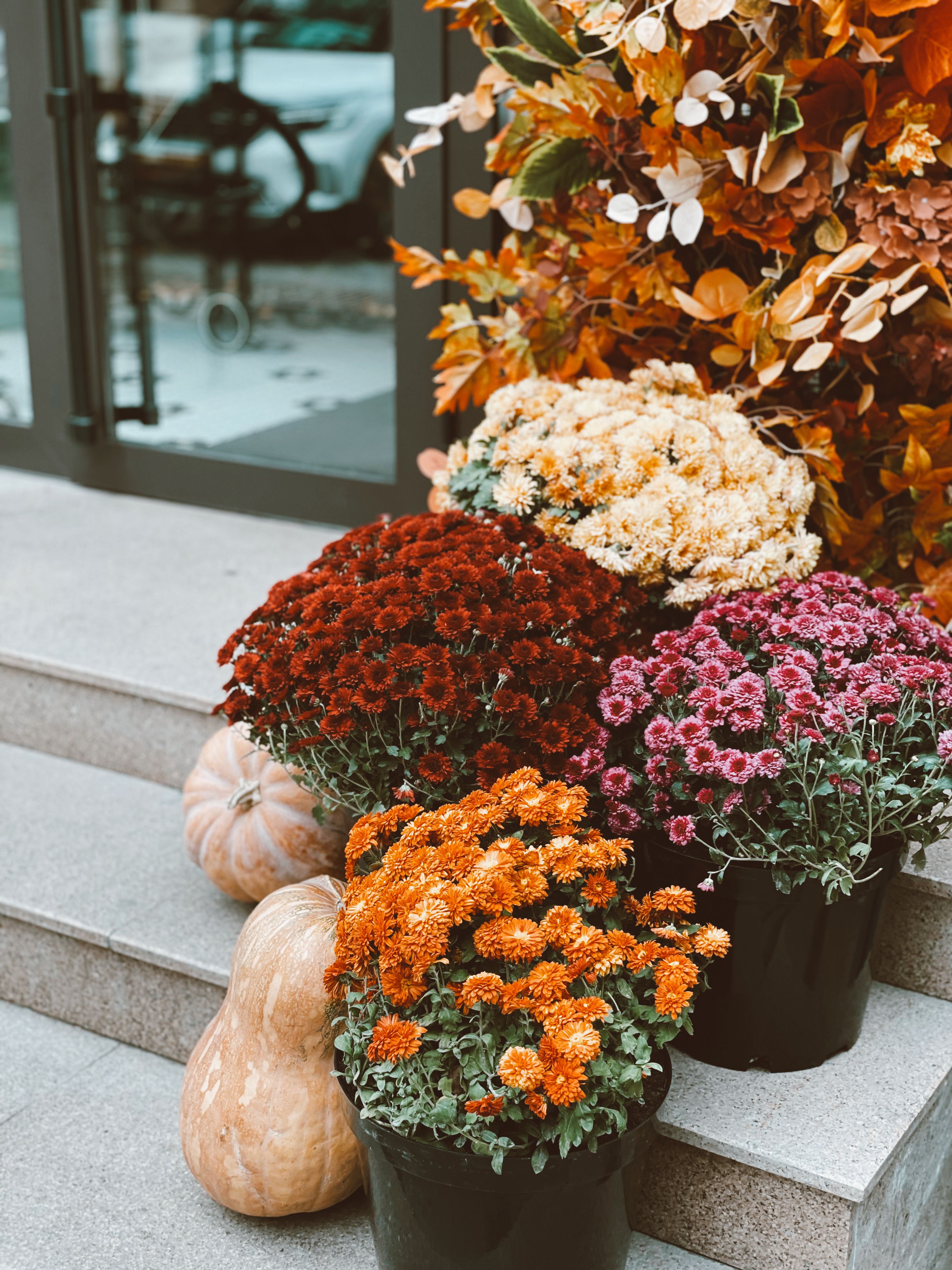 Mums and pumpkins stacked on stone steps for a fall display