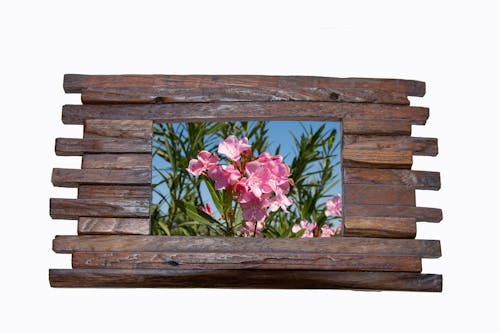 Free stock photo of frame, photo, wood