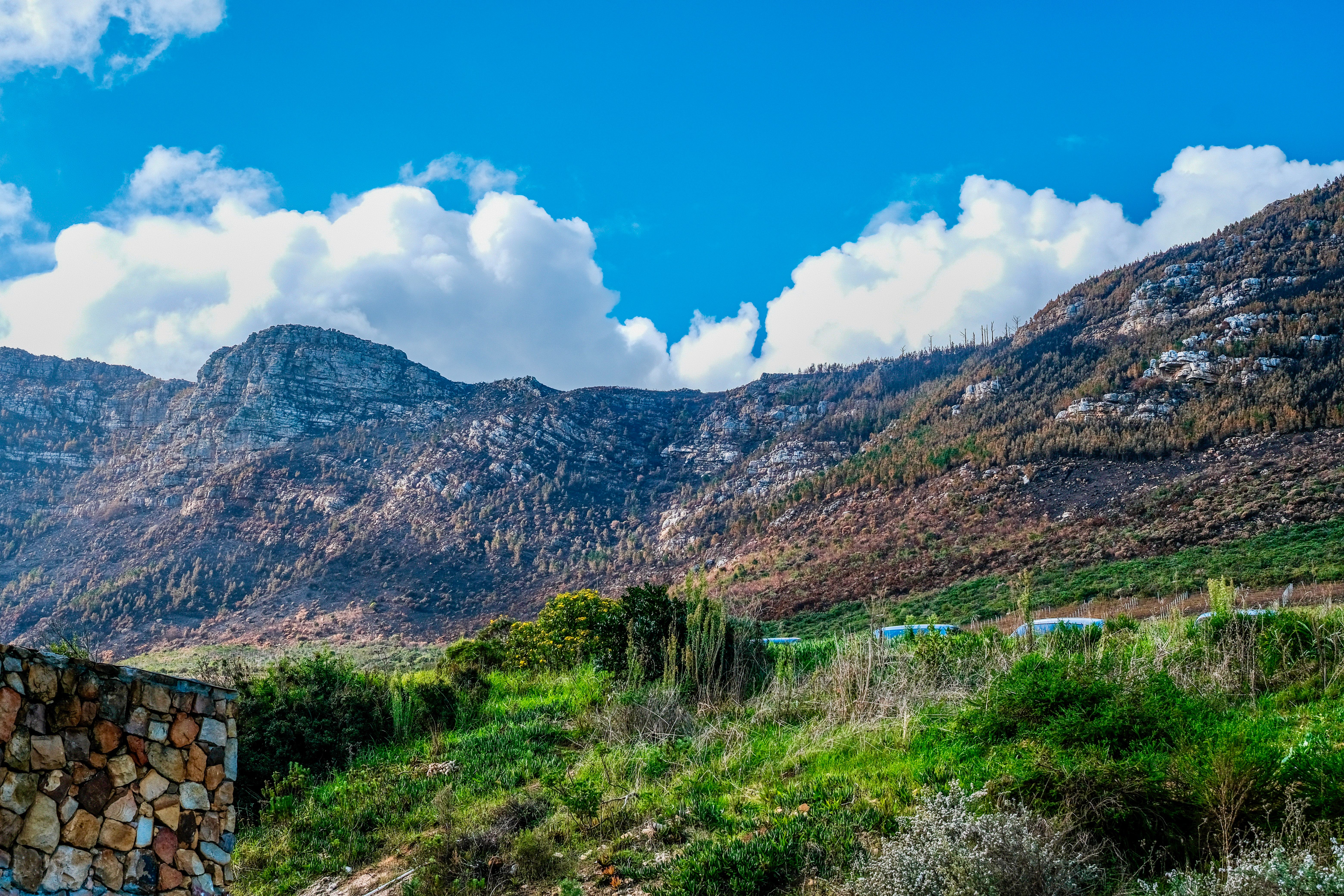 Scenic Mountain View with Lush Greenery · Free Stock Photo