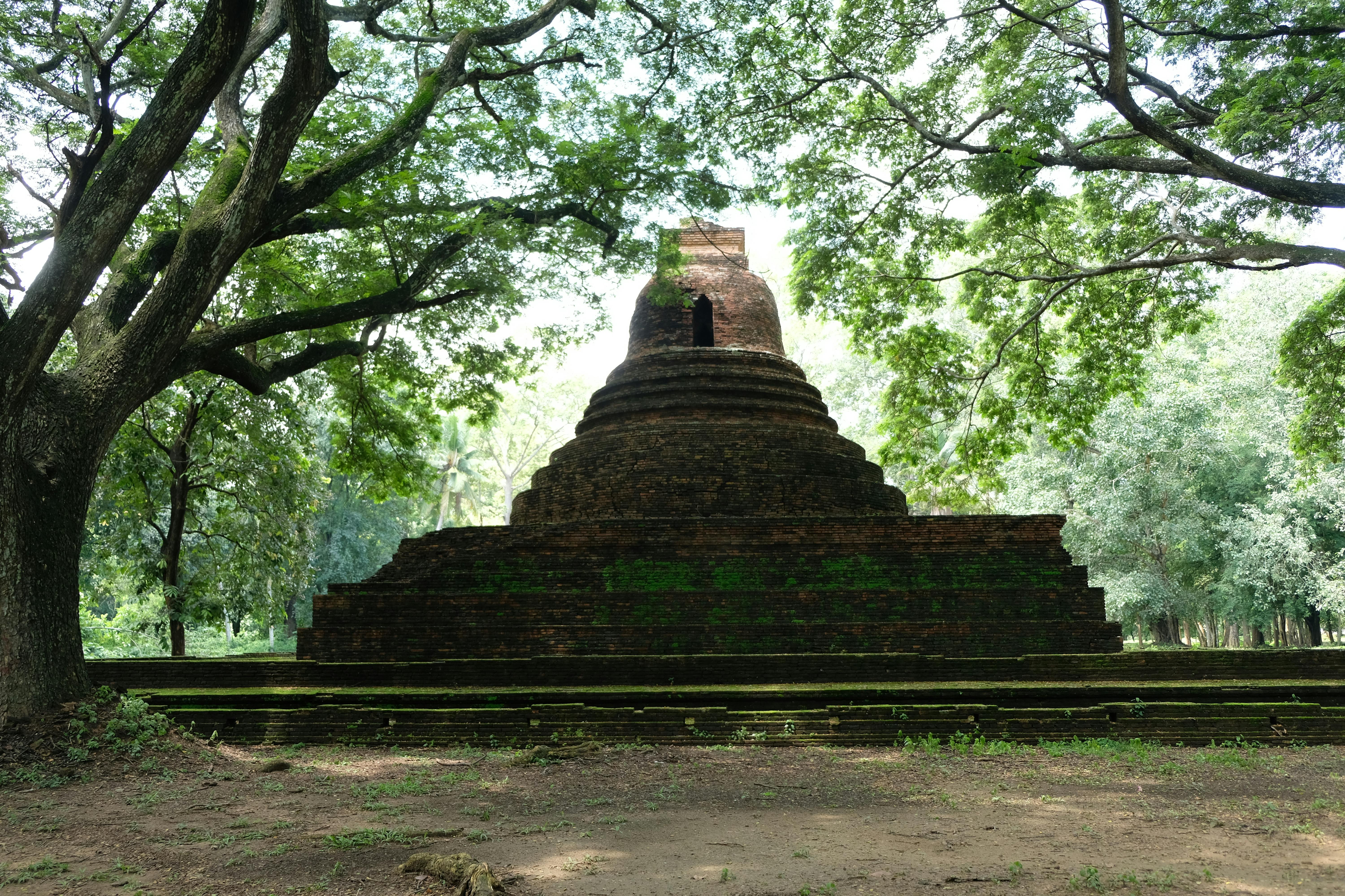 Ancient Meditation Techniques Making a Viral Comeback