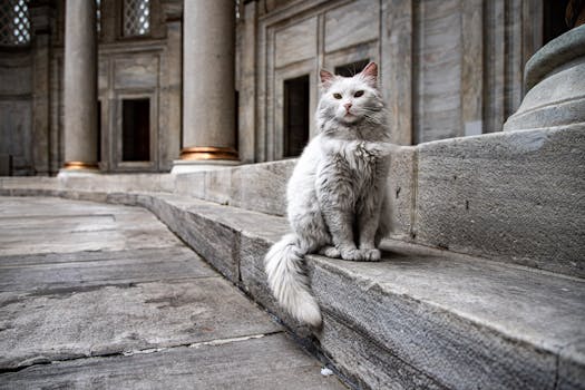 Treasure Hunt Adventure