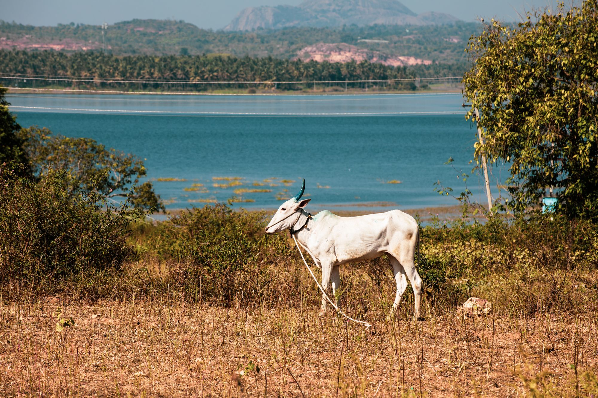 Badagara