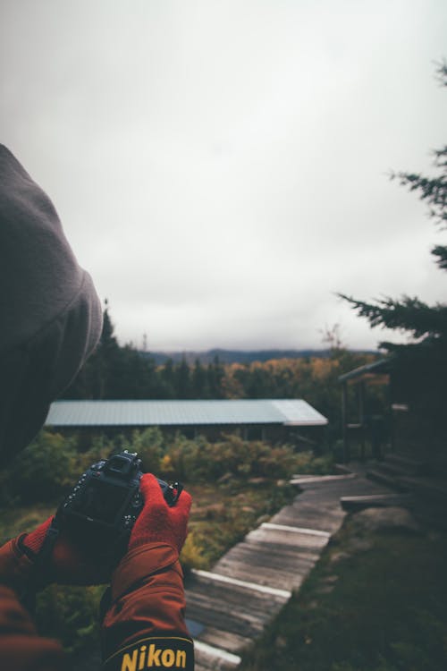 Fotobanka s bezplatnými fotkami na tému fotoaparát, jeseň, jesenná farba