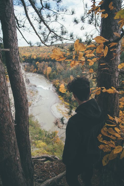 Man Standing Beside Tree