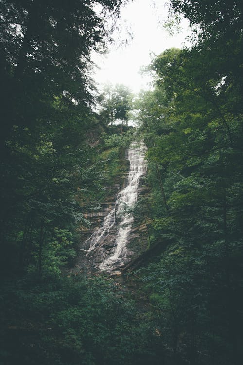 Free Photo Of Waterfalls During Daytime Stock Photo