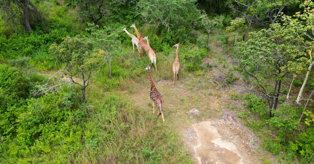 Photo of Zimbabwe