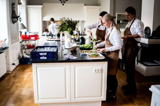 Chefs in a modern kitchen preparing dishes with precision and teamwork, highlighting culinary expertise and professionalism.