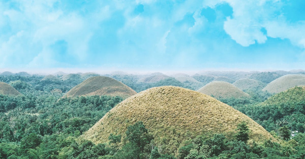 'Bohol Island Adventure': Chocolate Hills tarsiers await discovery!