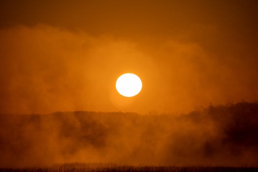Golden sunrise over a misty landscape, capturing the serene beauty of Weaver, Minnesota.