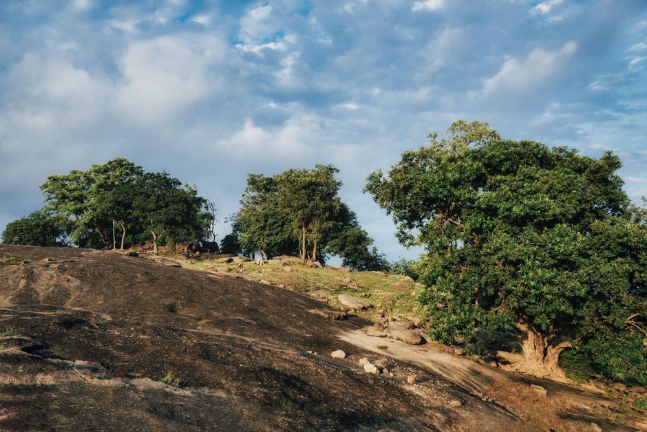 Conquering Nigeria's Ado Awaye: A Trekking Adventure