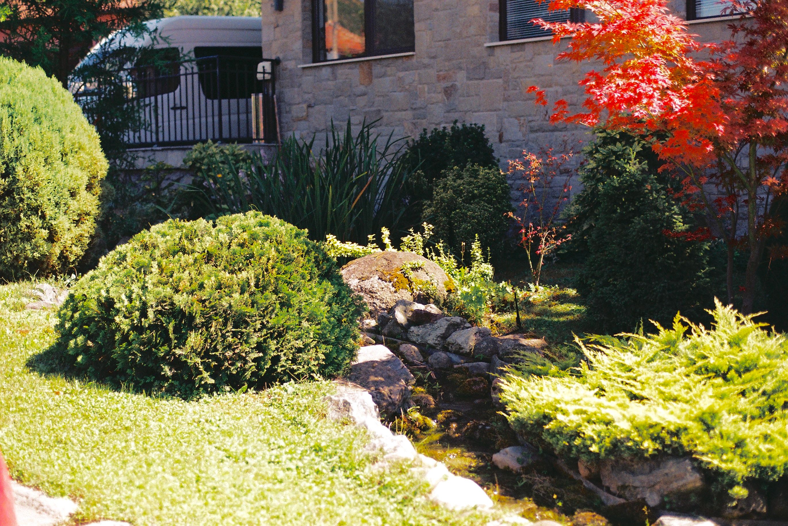 Landscaped garden with stone path