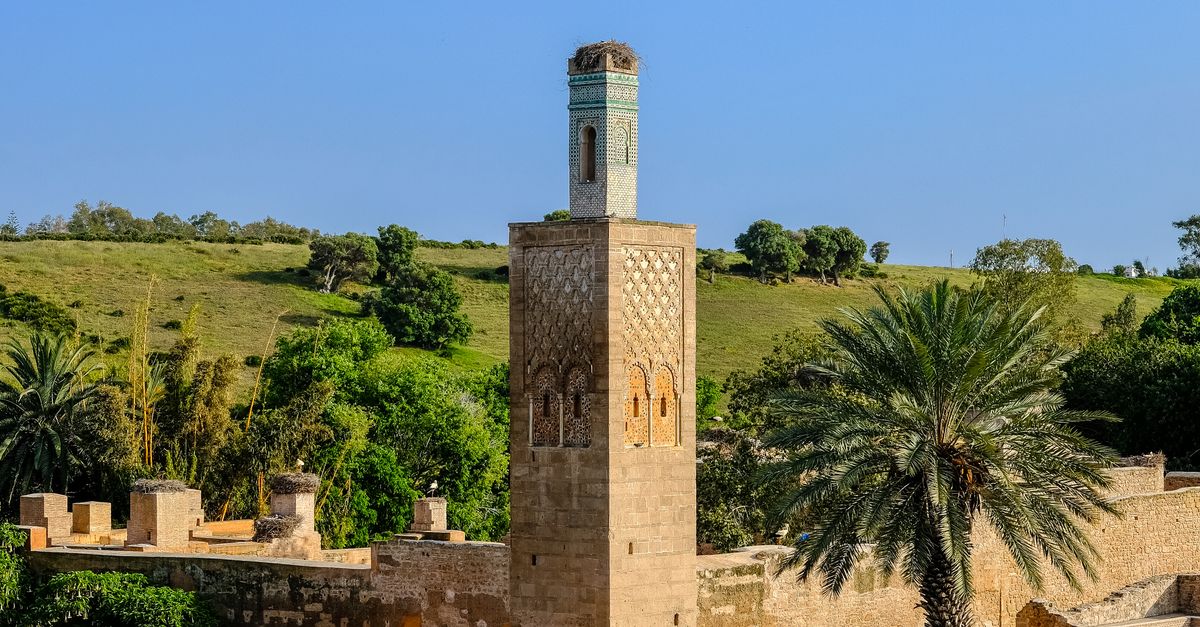 Challah Rabaty Tour Historique Des Jardins Du Chellah, Rabat · Photo gratuite