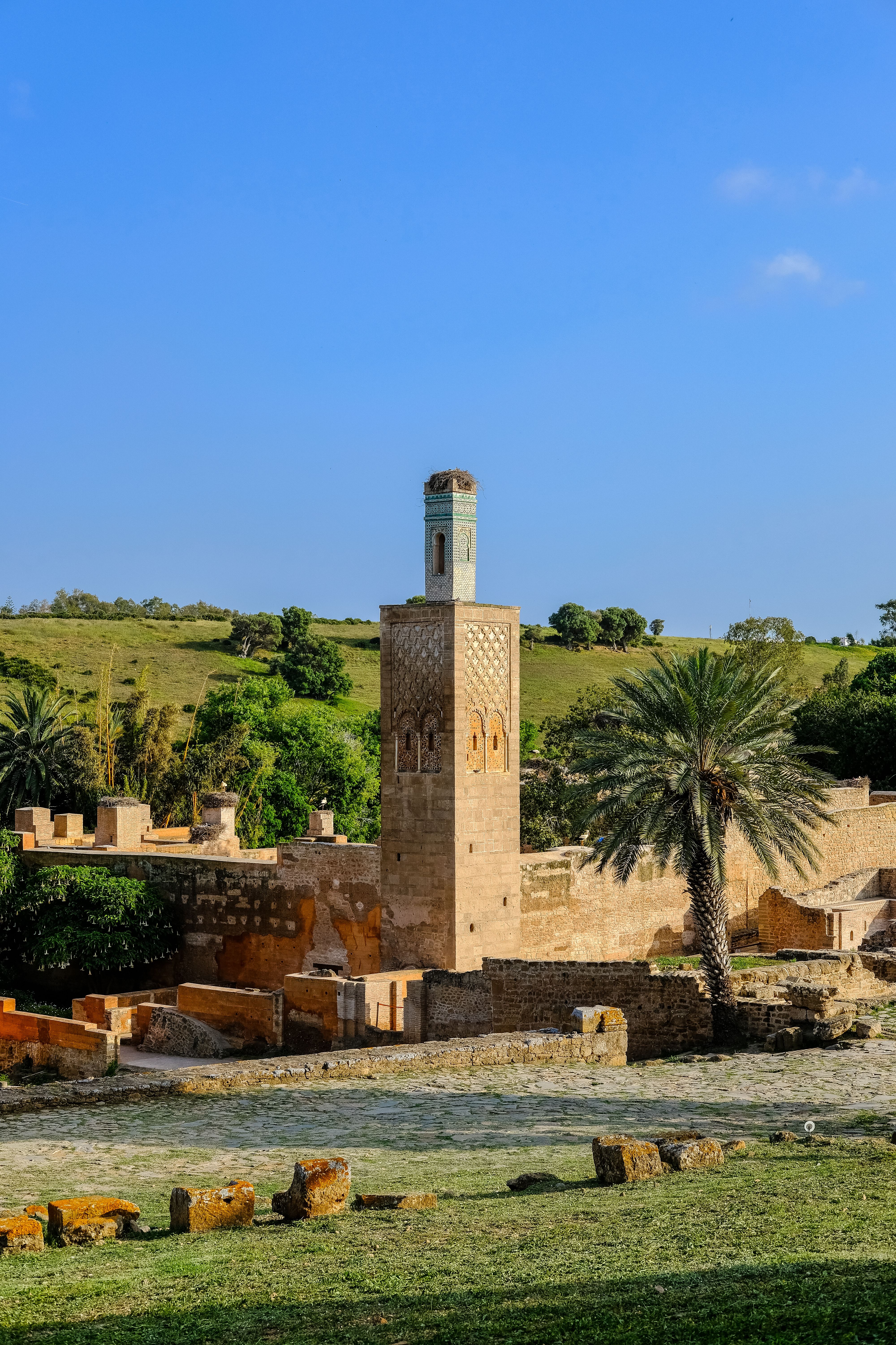 Tour Historique Des Jardins Du Chellah, Rabat · Photo gratuite