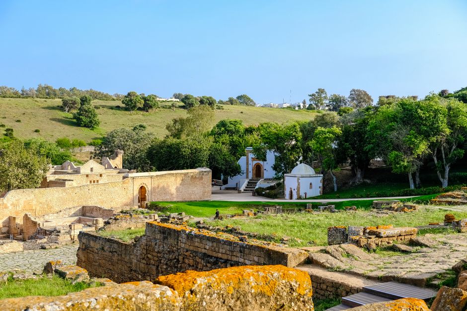 Scenic view of the Chellah ruins with lush greenery in Rabat, Morocco.