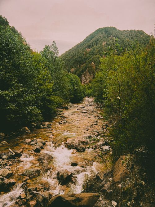 Free A serene mountain stream flowing through lush forests in Osmaniye, Türkiye, capturing nature's beauty. Stock Photo