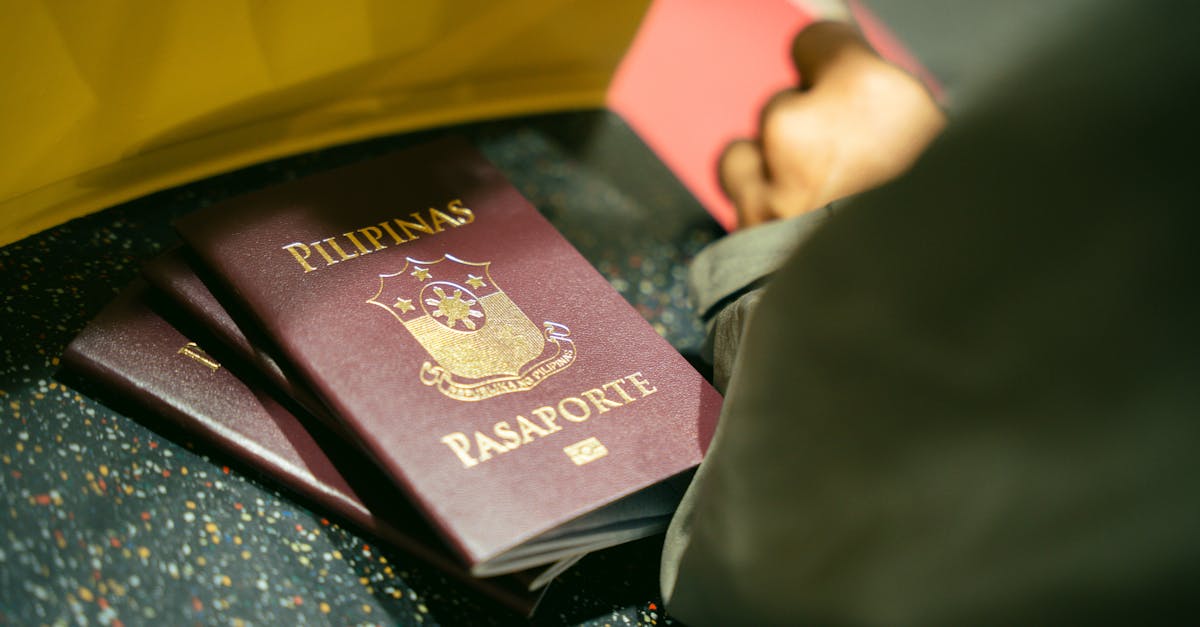 在留资格与日本出生外国籍儿童的现状 在留资格与日本出生外国籍儿童的现状